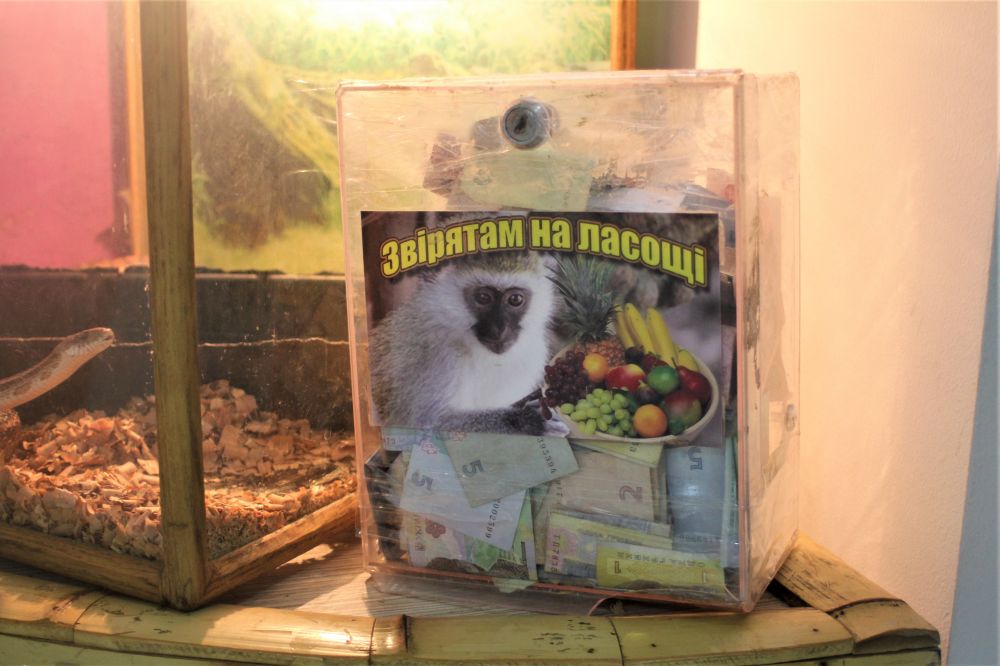 Збір коштів на ласощі