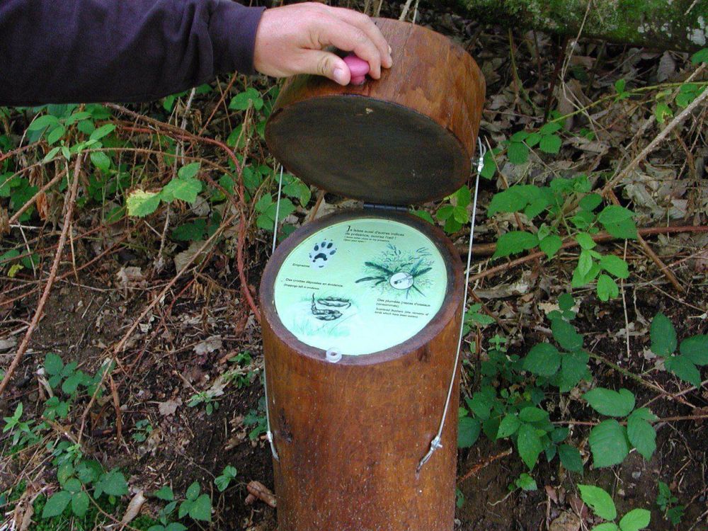 Інтерактивний стенд, що розповідає про мешканців парку