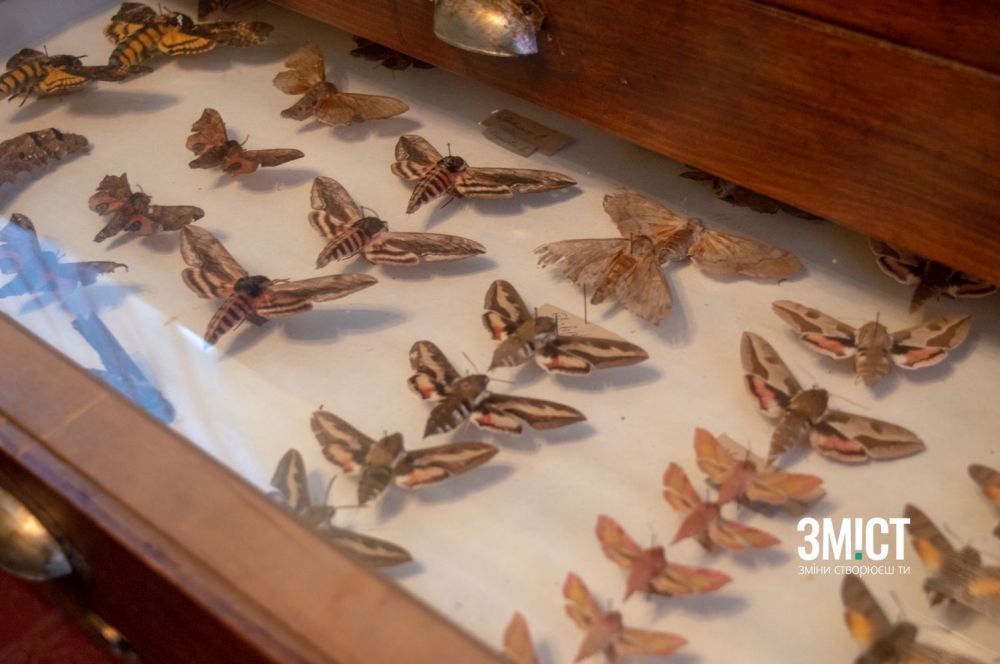 У музеї дослідної станції