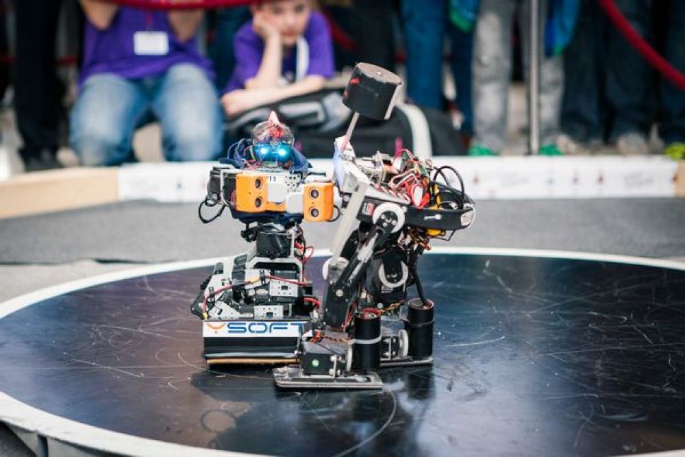 «Ferrexpo Robot Fest» (Джерело – kremen.today)