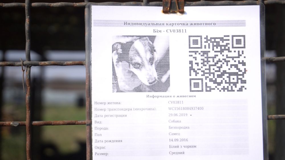 Індивідуальна картка собаки