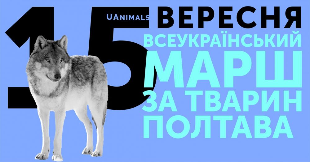 Афіша заходу (Джерело – сторінка маршу в фейсбук)