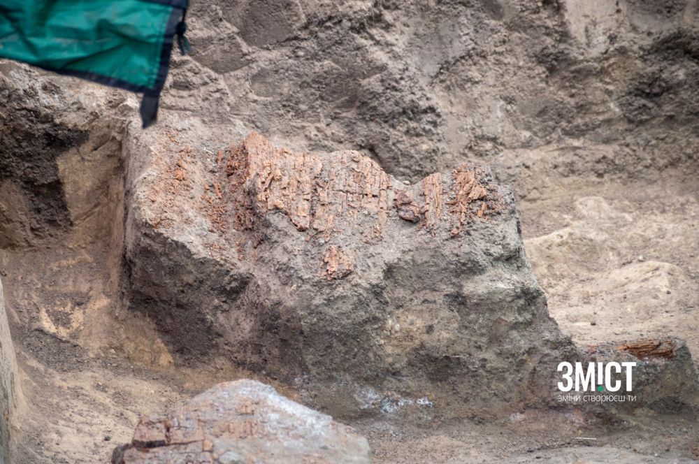 Залишки деревини