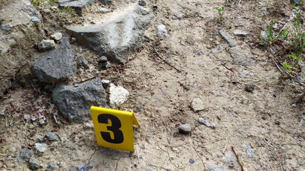 Знайдена кістка