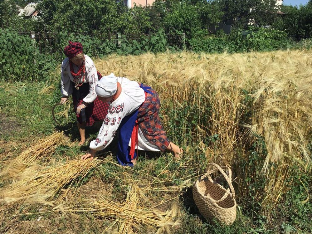 Майстерня Сіно-солома в Кантрі-Хауз. Джерело - фейсбук-сторінка садиби.