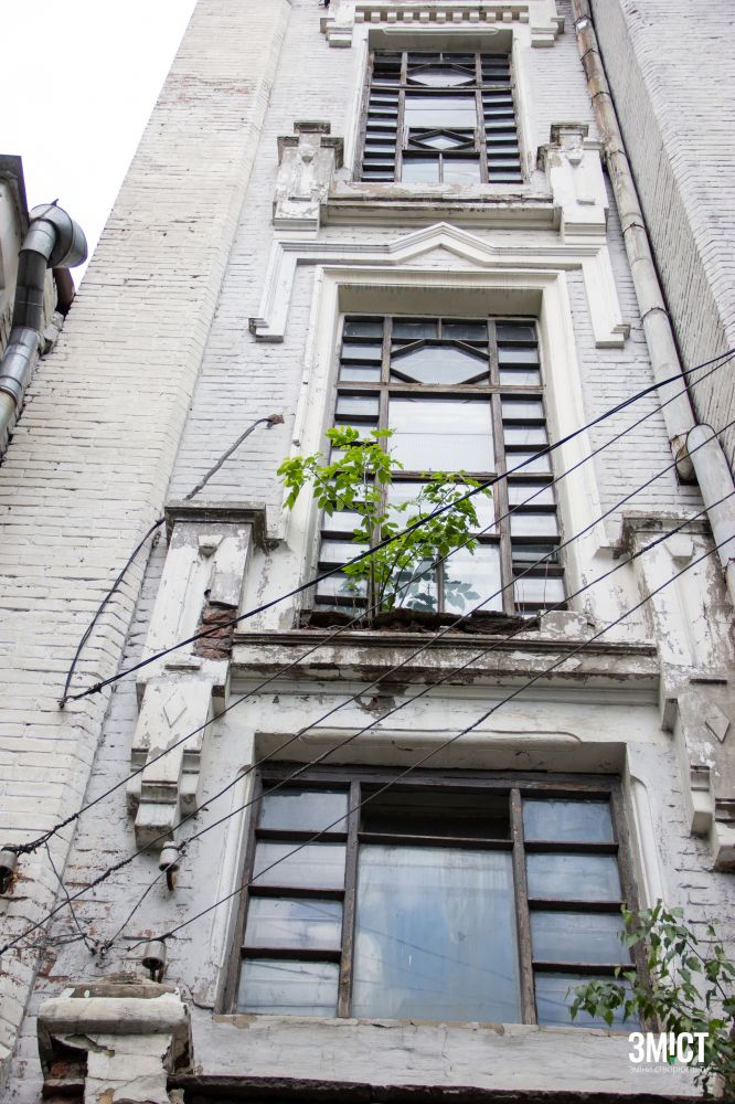 З будинка росте дерево. Це руйнує кладку.