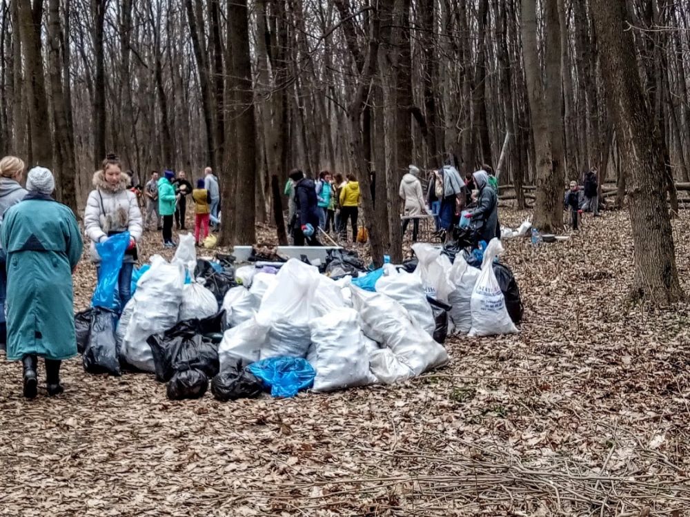 Прибирання у Гришкиному лісі