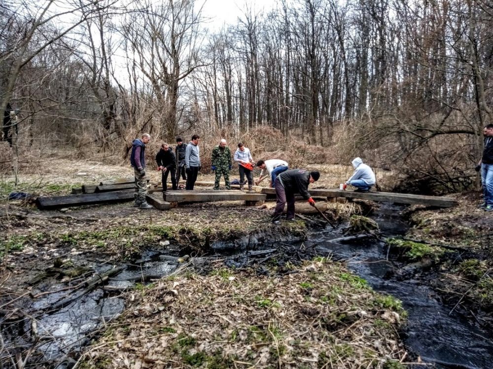 Прибирання у Гришкиному лісі