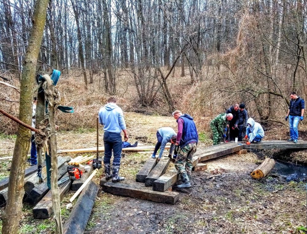 Прибирання у Гришкиному лісі