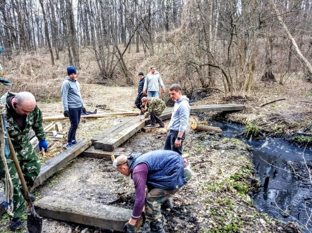 Прибирання у Гришкиному лісі