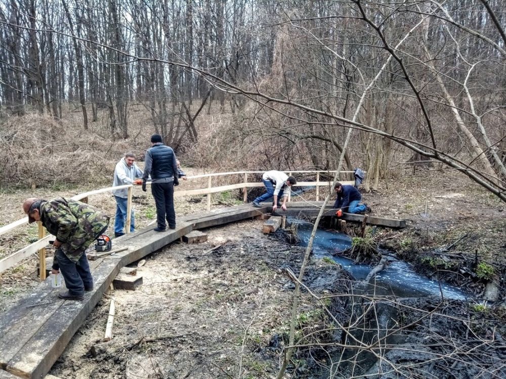 Прибирання у Гришкиному лісі