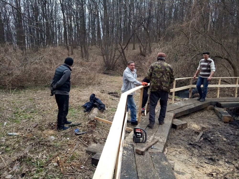 Прибирання у Гришкиному лісі