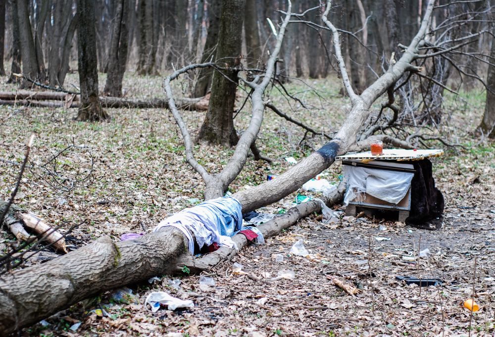 Прибирання у Гришкиному лісі