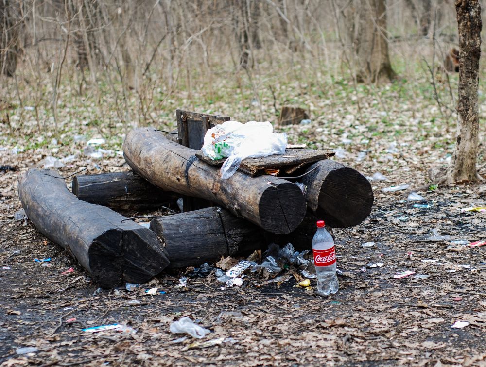 Прибирання у Гришкиному лісі