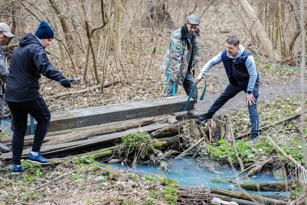 Прибирання у Гришкиному лісі