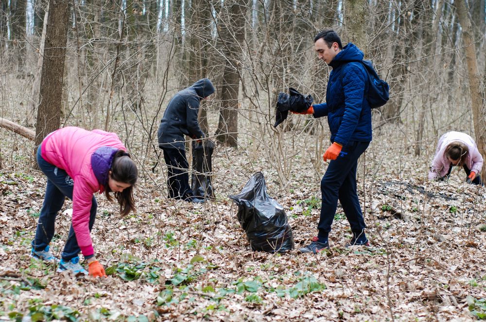 Прибирання у Гришкиному лісі