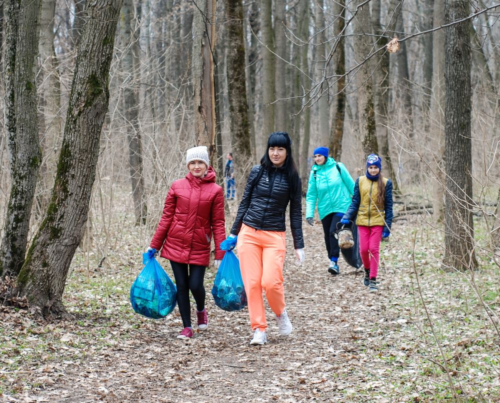 Прибирання у Гришкиному лісі