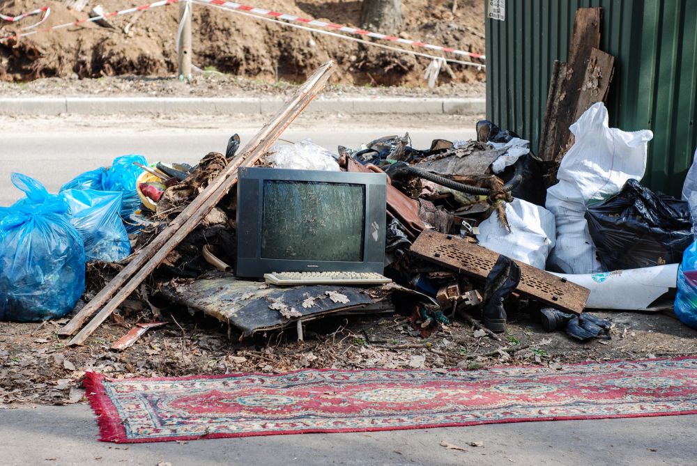 Прибирання у Гришкиному лісі