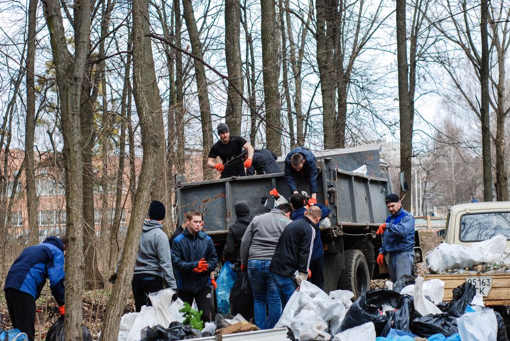 Прибирання у Гришкиному лісі