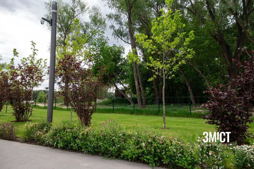 Аби обрати зелені насадження, дніпровські комунальники їздили до Німеччини.