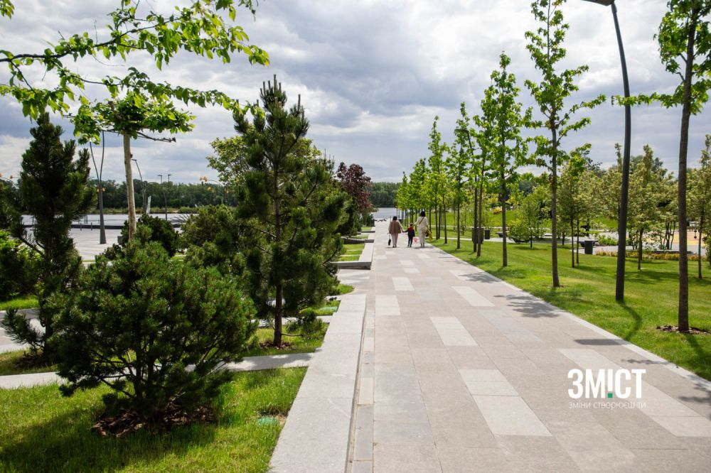 Колись на цьому місці були чагарники.