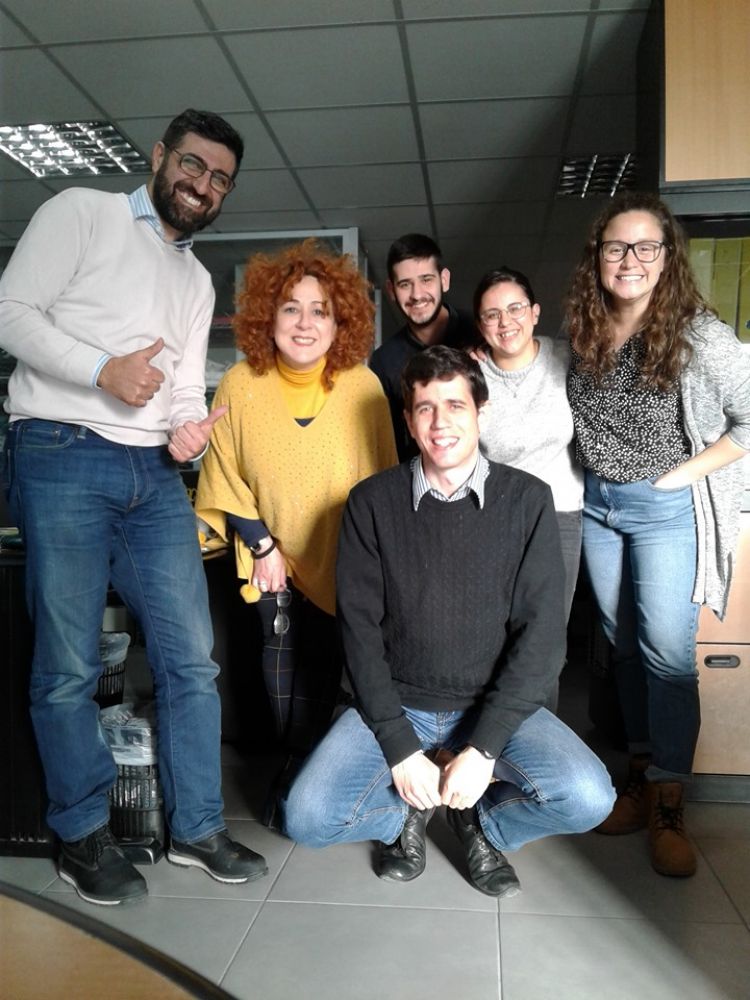 Стажування на Мальті